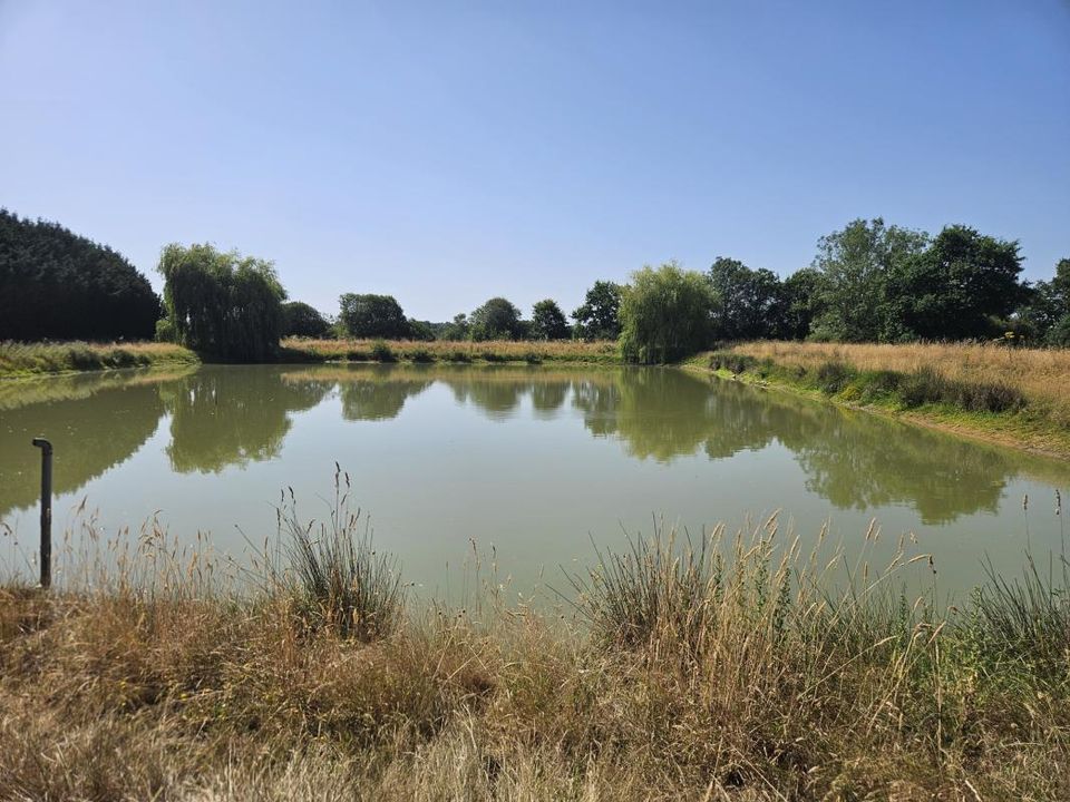 Helårsgrund i Pannecé, Loire-Atlantique - foto 1