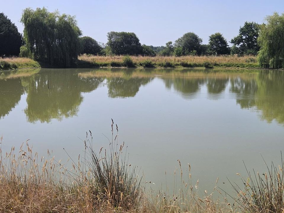 Helårsgrund i Pannecé, Loire-Atlantique - foto 2