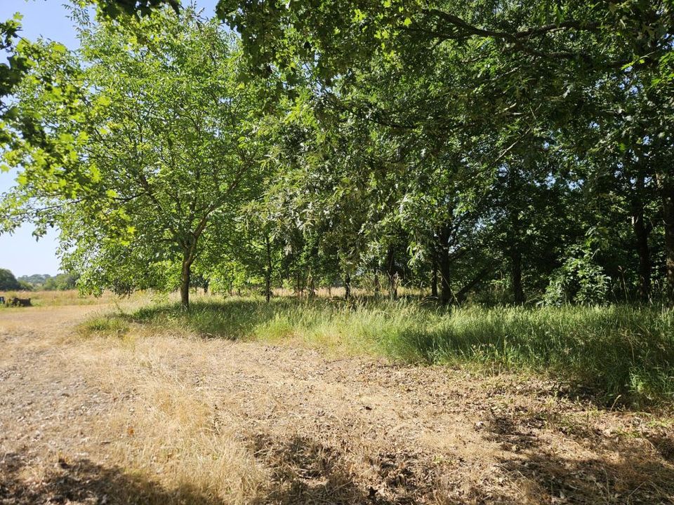 Helårsgrund i Pannecé, Loire-Atlantique - foto 3