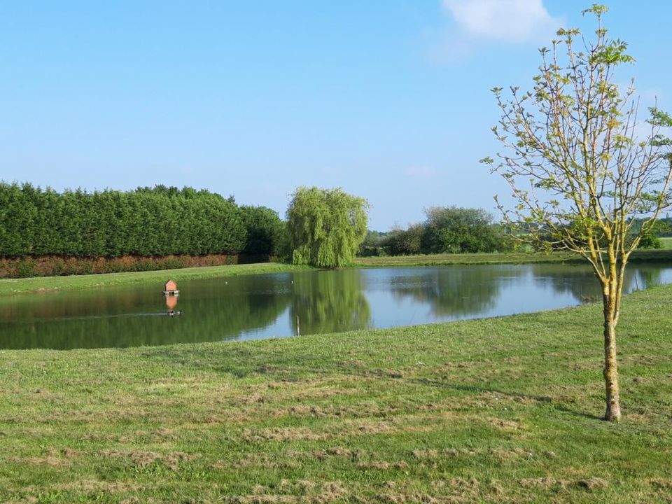 Helårsgrund i Pannecé, Loire-Atlantique - foto 5
