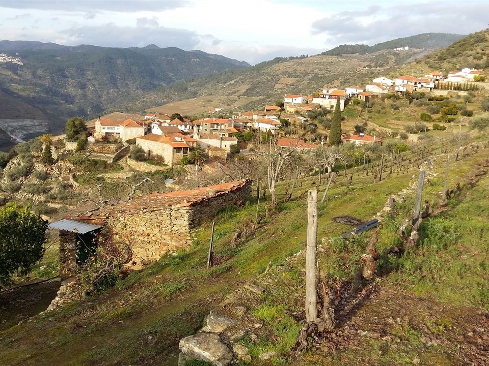 Terreno en Carrazeda de Ansiaes, Braganca - foto 2