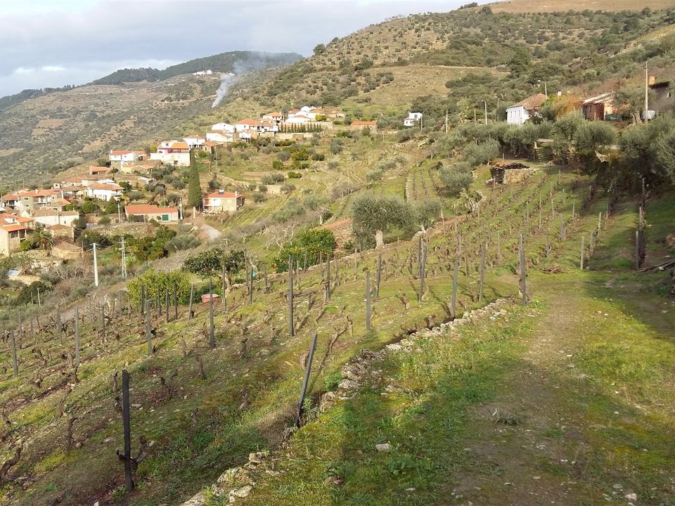 Terreno en Carrazeda de Ansiaes, Braganca - foto 3