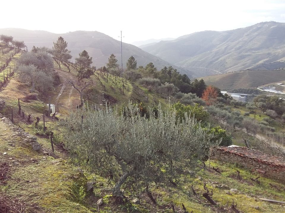 Terreno en Carrazeda de Ansiaes, Braganca - foto 4
