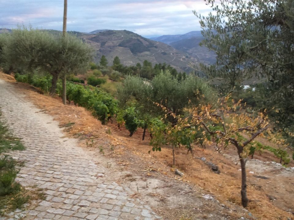Terreno en Carrazeda de Ansiaes, Braganca - foto 5