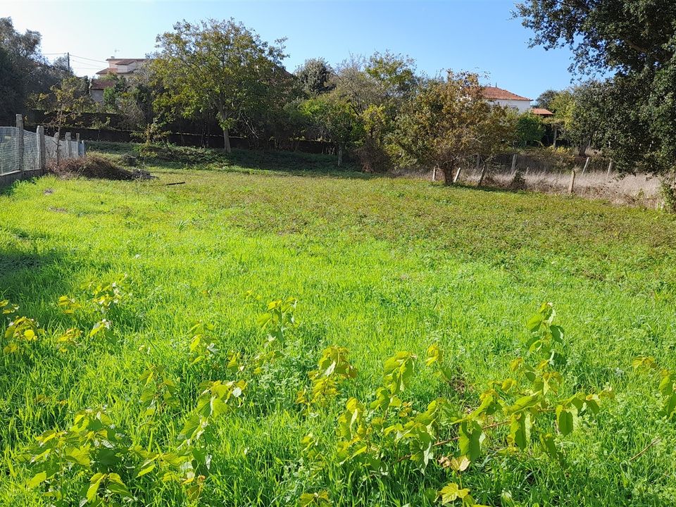 Helårsgrund i Caminha, Viana do Castelo - foto 1