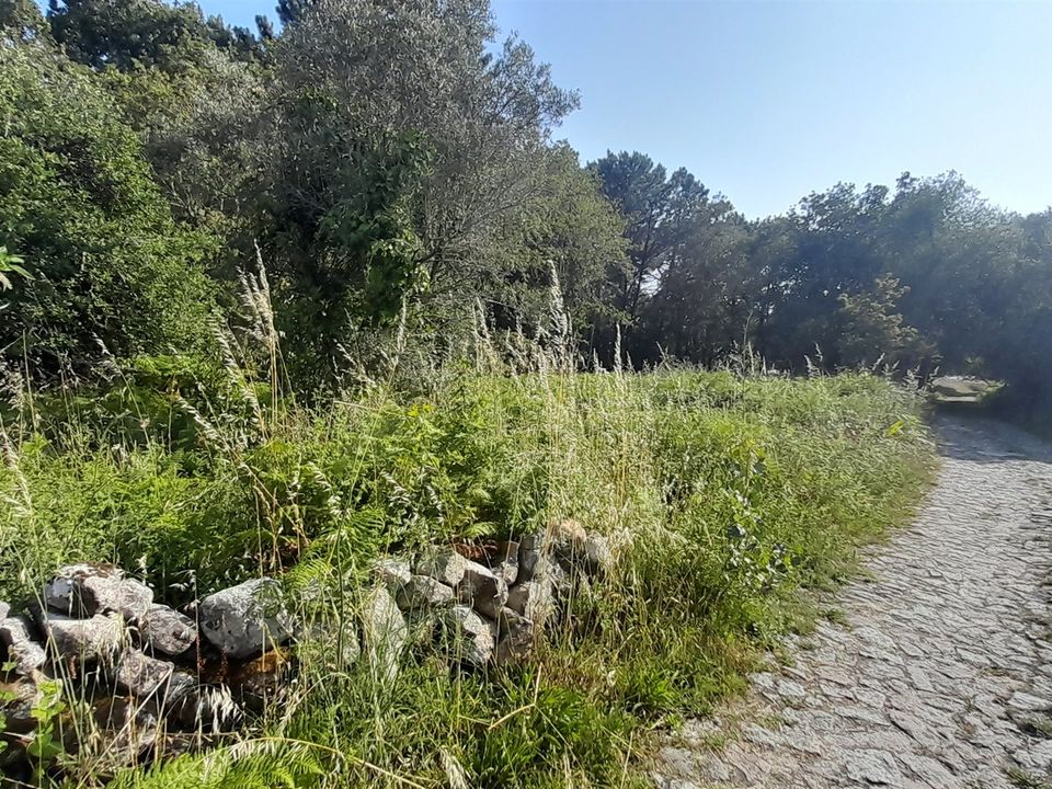 Helårsgrund i Viana do Castelo, Viana do Castelo - foto 1