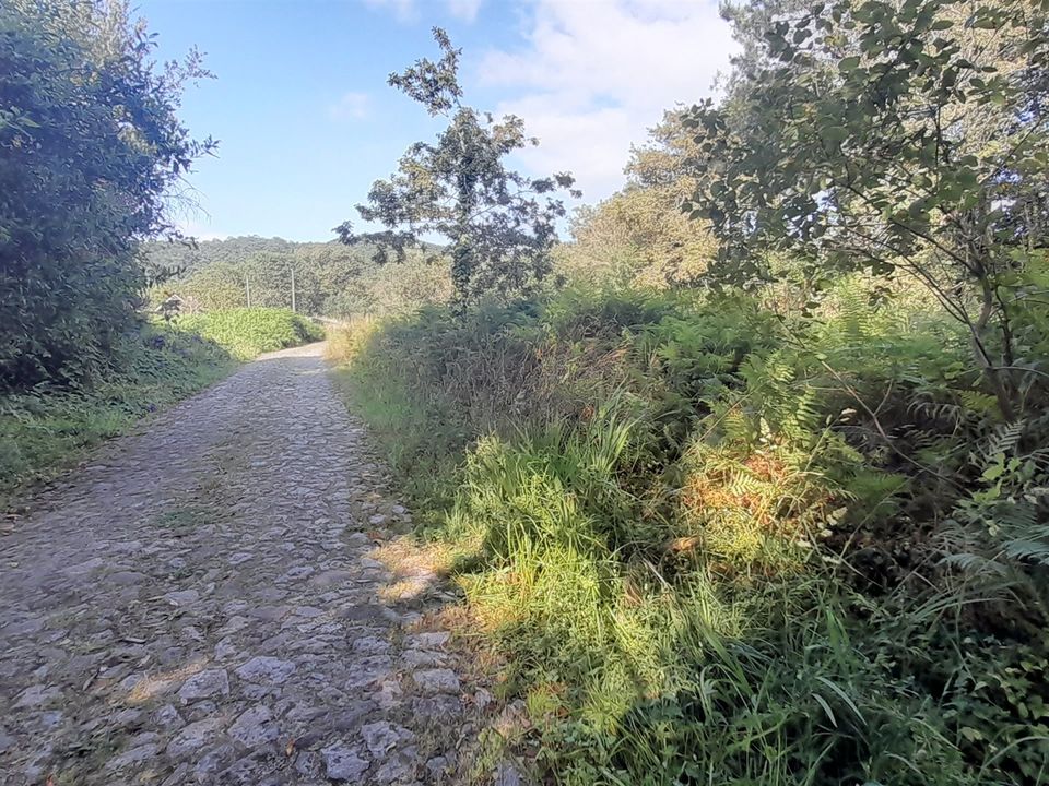 Helårsgrund i Viana do Castelo, Viana do Castelo - foto 3
