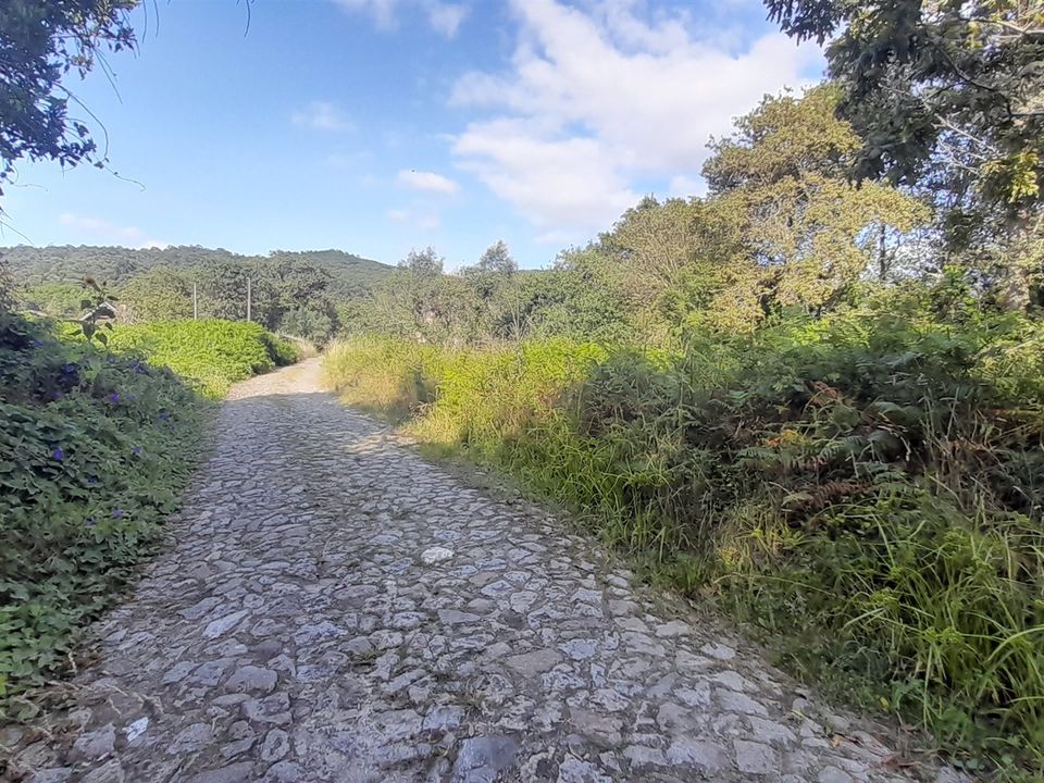 Helårsgrund i Viana do Castelo, Viana do Castelo - foto 4