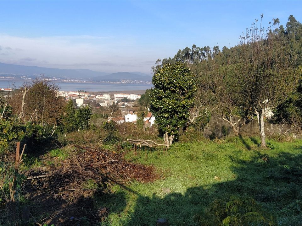 Helårsgrund i Caminha, Viana do Castelo - foto 1