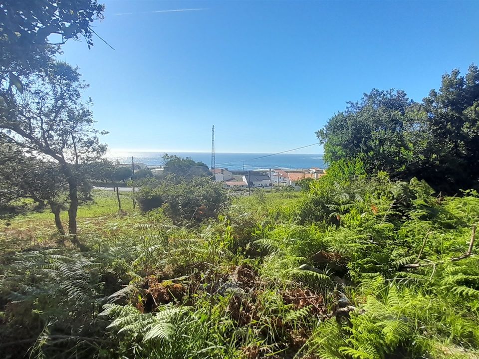 Helårsgrund i Caminha, Viana do Castelo - foto 3