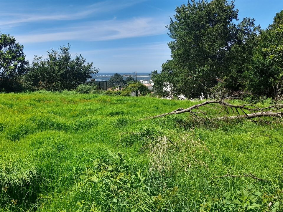 Helårsgrund i Caminha, Viana do Castelo - foto 4