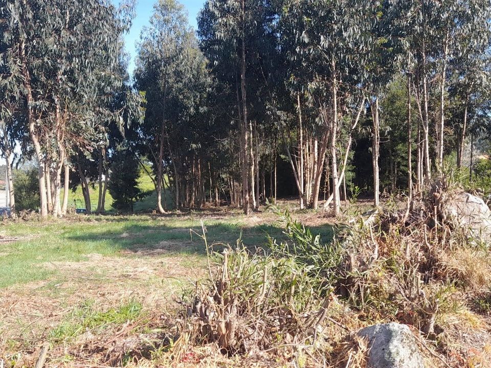 Helårsgrund i Caminha, Viana do Castelo - foto 3
