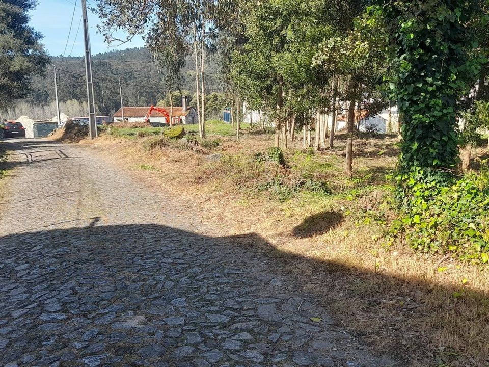 Helårsgrund i Caminha, Viana do Castelo - foto 5
