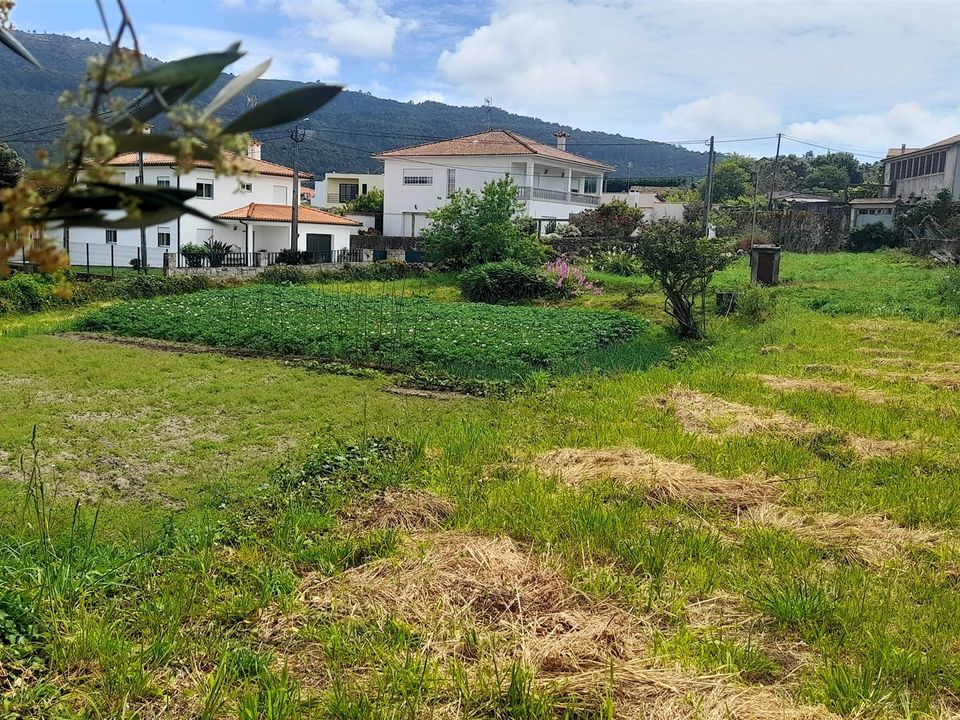 Helårsgrund i Caminha, Viana do Castelo - foto 1