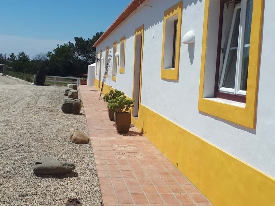 Farm hus i Sao Teotonio, Beja - foto 4