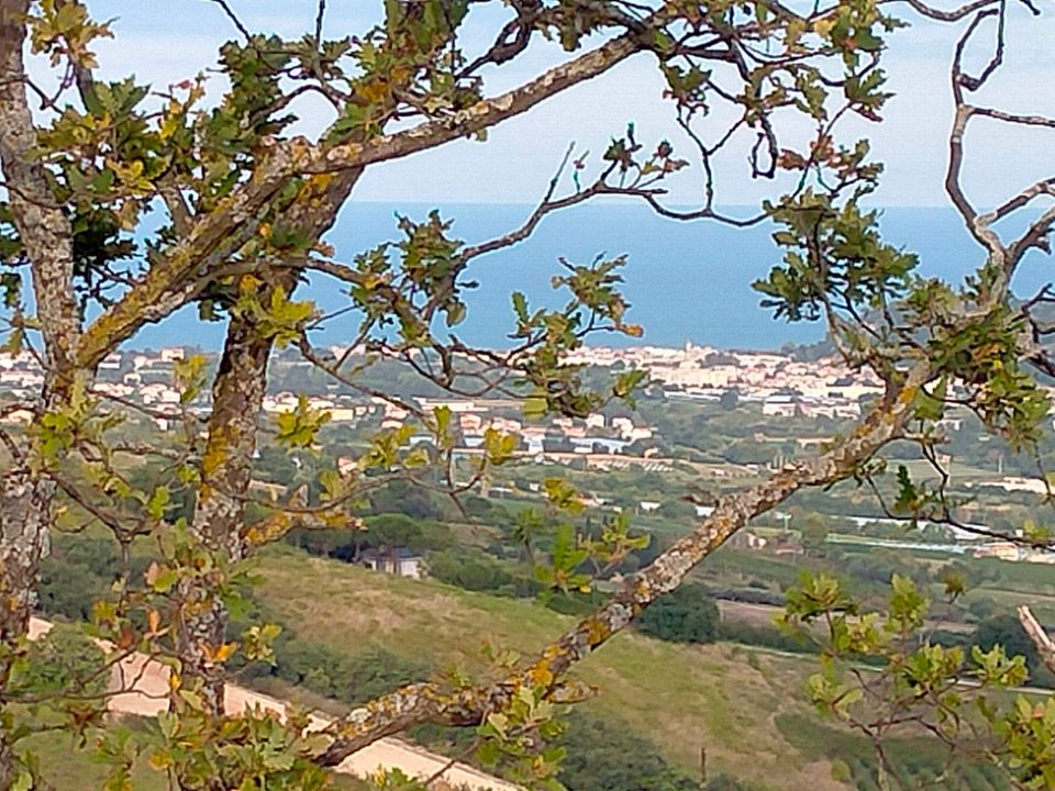 Villa i Monterubbiano, Fermo - foto 2