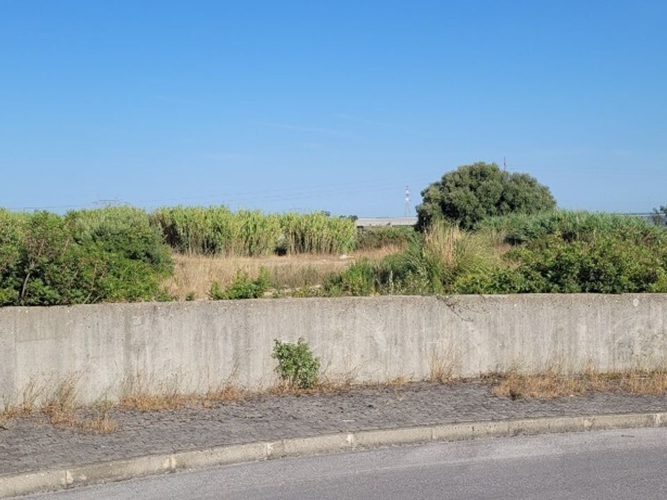 Tomt i Azambuja, Lisbon - bilde 4