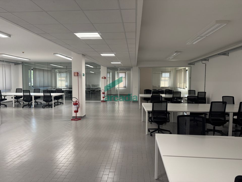 L'establiment comercial a Bari, Bari - foto 2