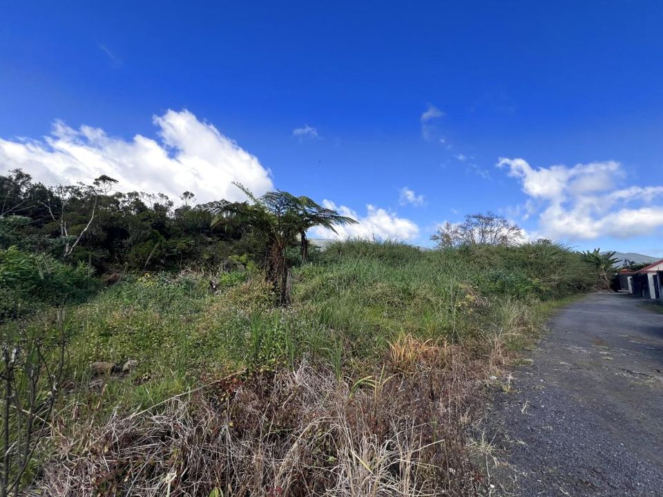 Helårsgrund i La Plaine-des-Palmistes, La Reunion - foto 1