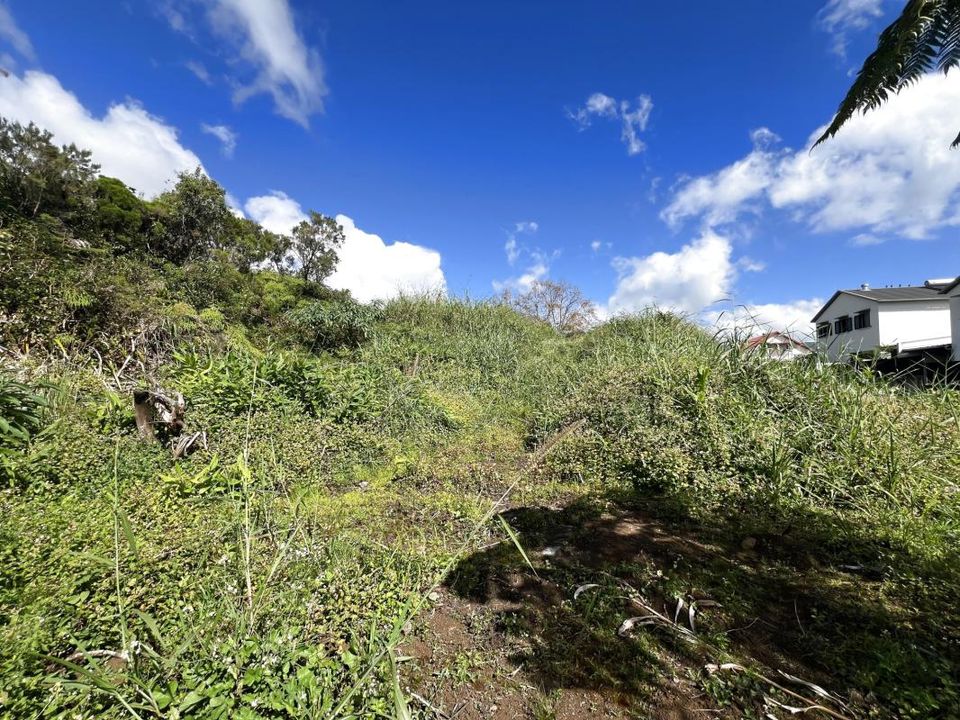 Helårsgrund i La Plaine-des-Palmistes, La Reunion - foto 2