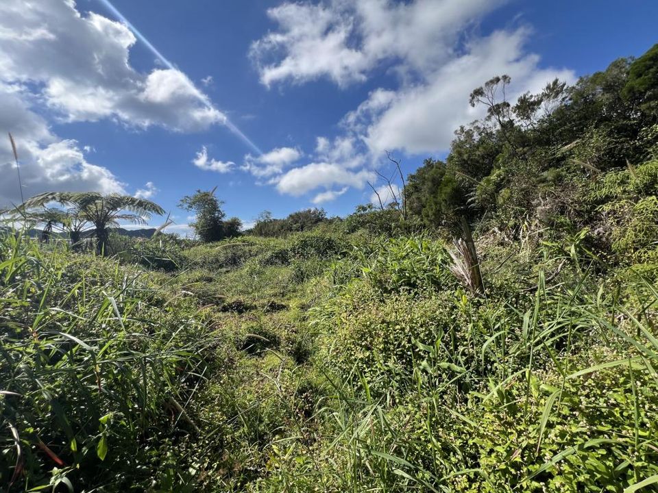 Helårsgrund i La Plaine-des-Palmistes, La Reunion - foto 3