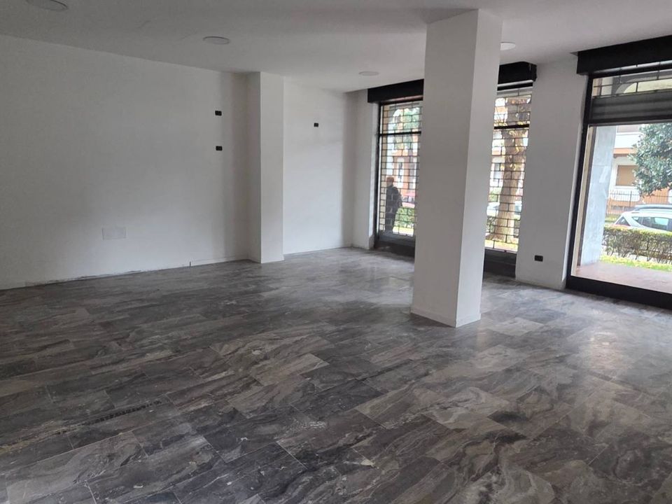 Commercial property in Opera, Milan - photo 1
