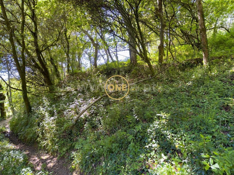 Helårsgrund i Amares, Braga - foto 4
