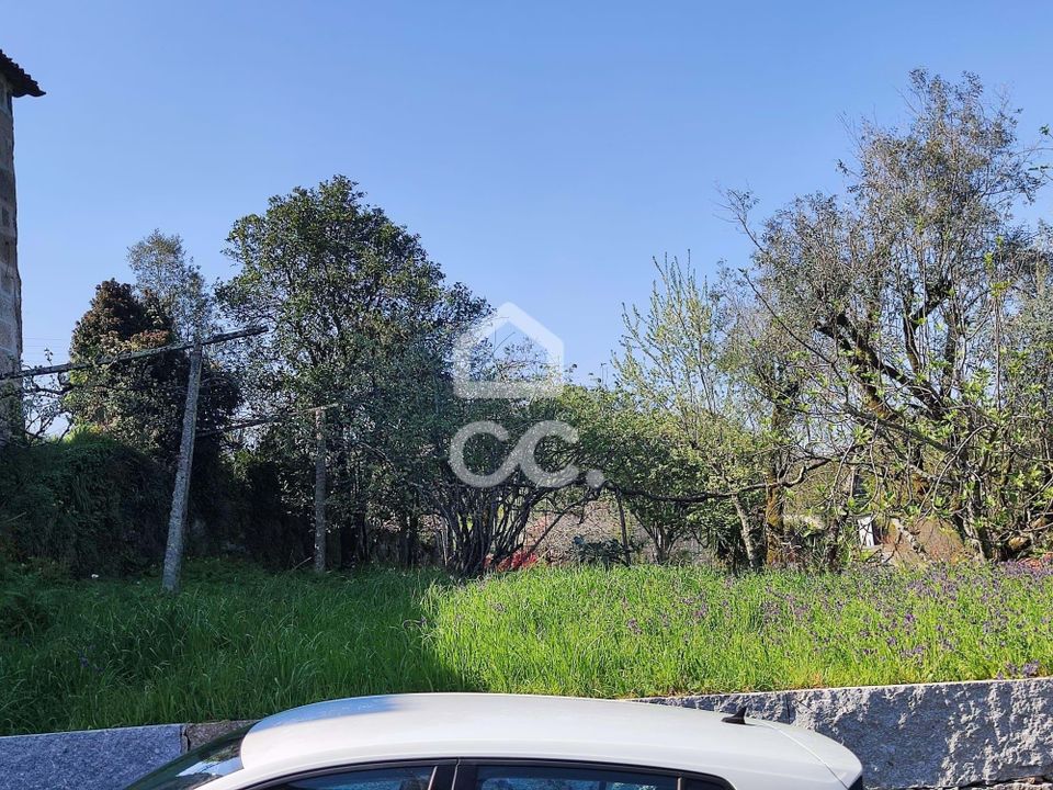 Farm hus i Penafiel, Porto - foto 4