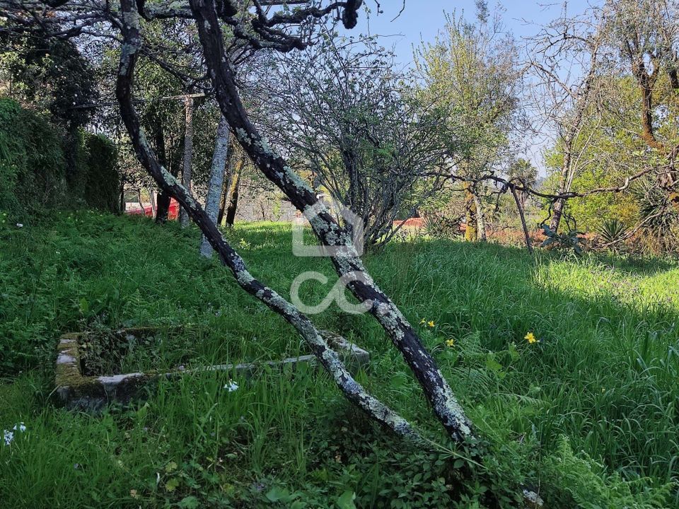 Farm hus i Penafiel, Porto - foto 5
