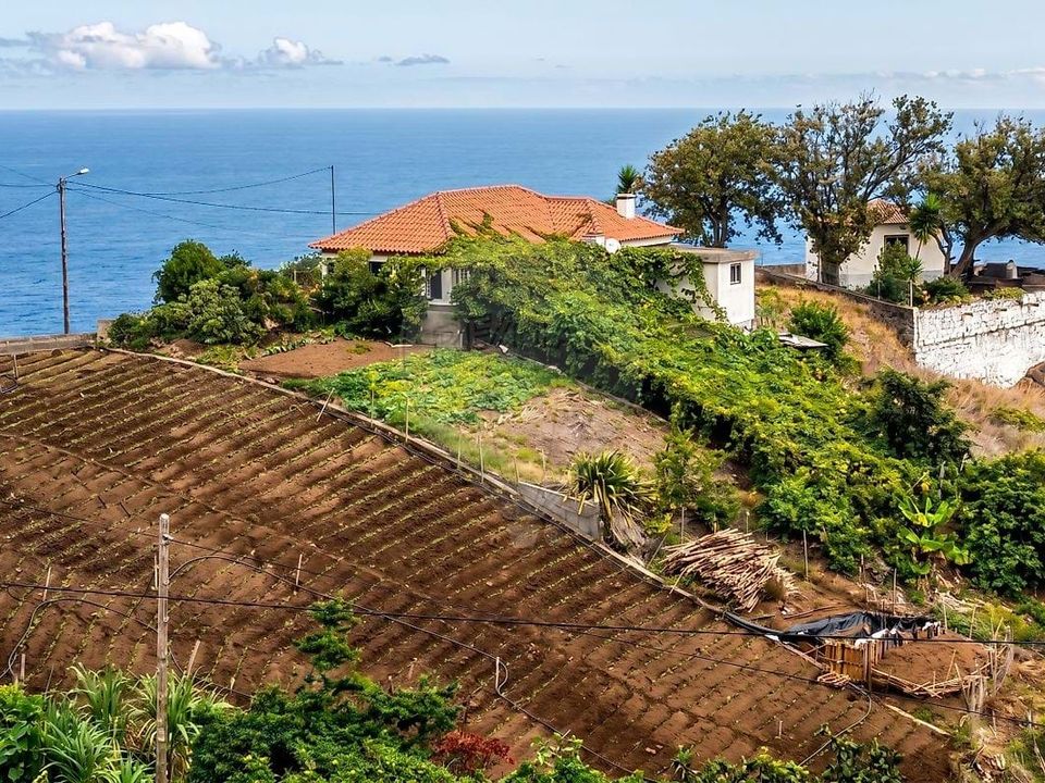 Helårsgrund i Santana, Madeira - foto 4