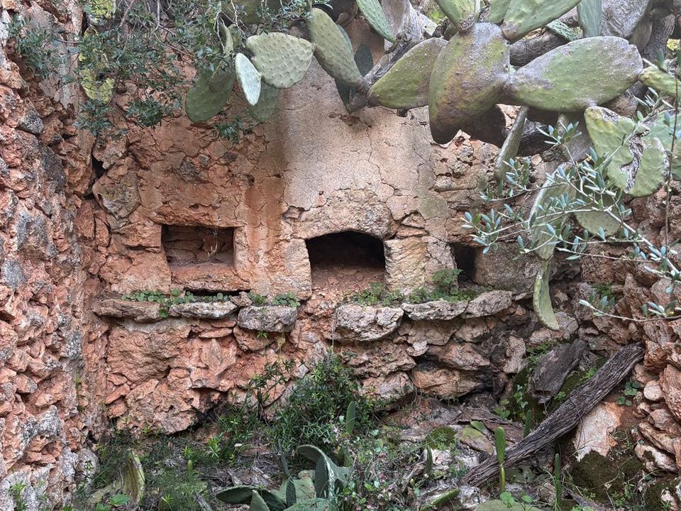 Helårsgrund i Costitx, Mallorca - foto 1