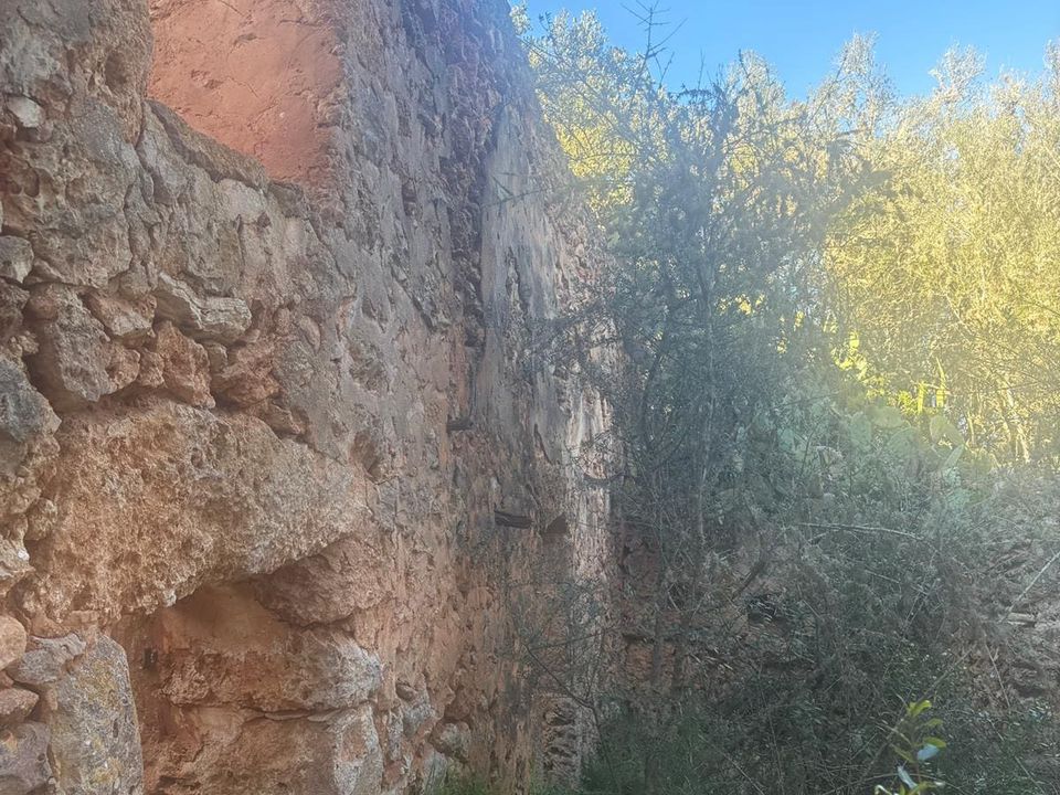 Helårsgrund i Costitx, Mallorca - foto 2