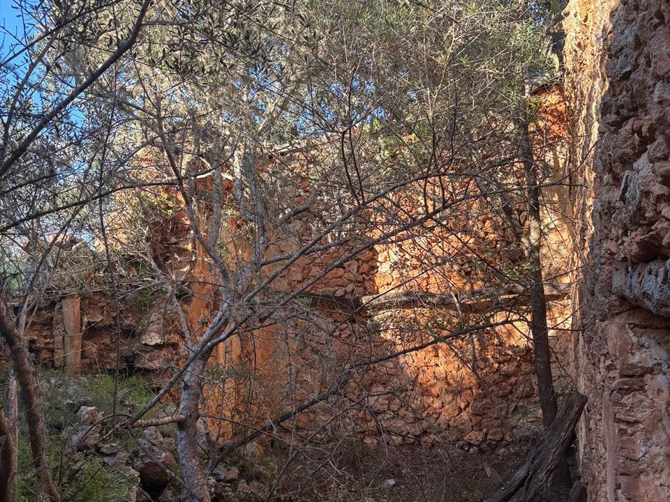 Helårsgrund i Costitx, Mallorca - foto 3