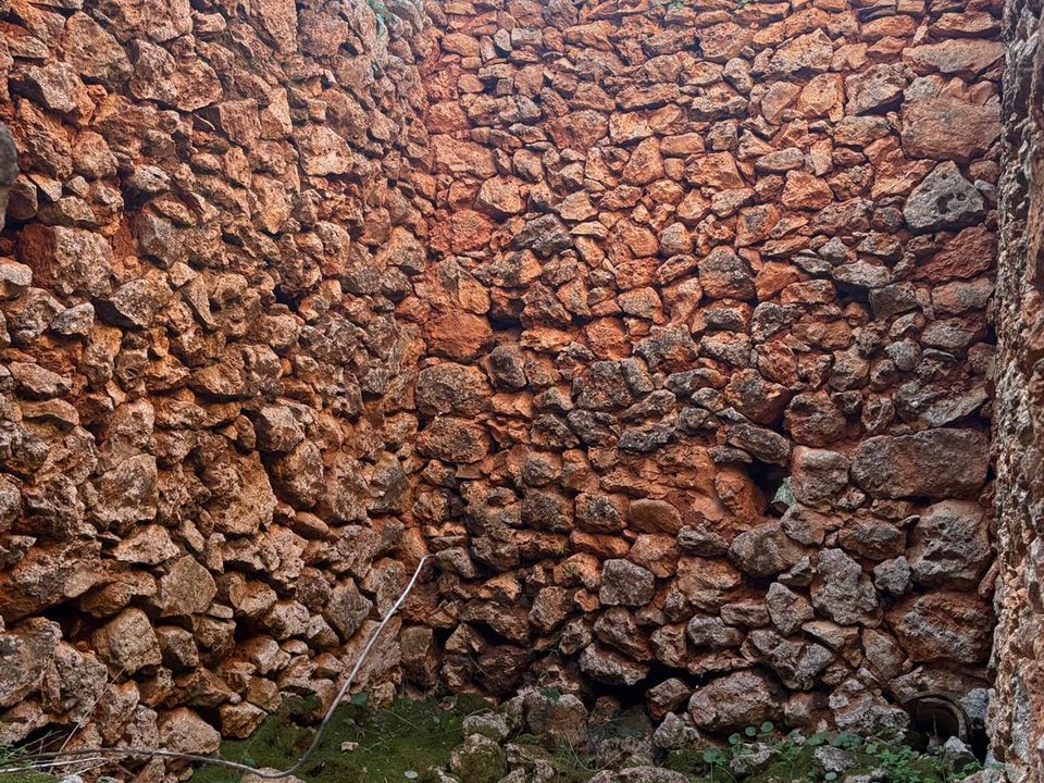 Helårsgrund i Costitx, Mallorca - foto 4