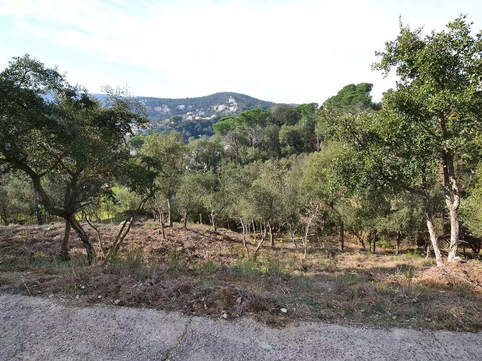 Helårsgrund i Calonge, Gerona - foto 2
