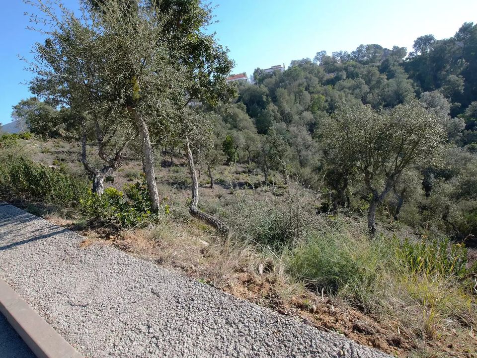 Helårsgrund i Calonge, Gerona - foto 3