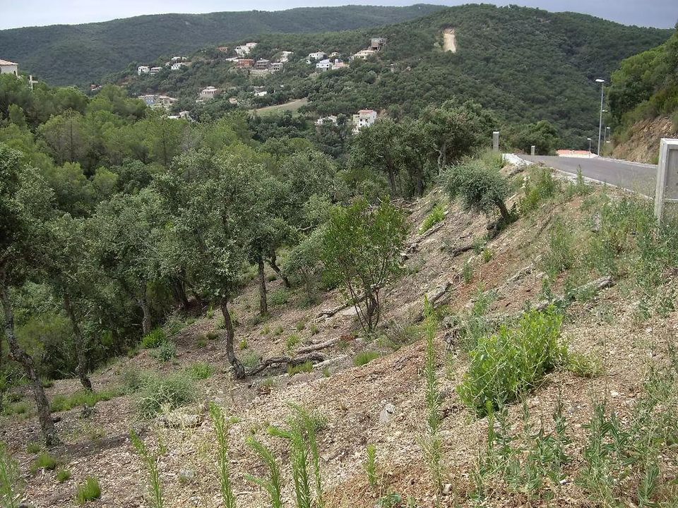 Tomt i Calonge, Gerona - bilde 5