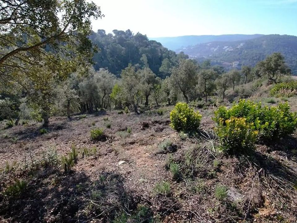 Terra em Calonge, Gerona - foto 3
