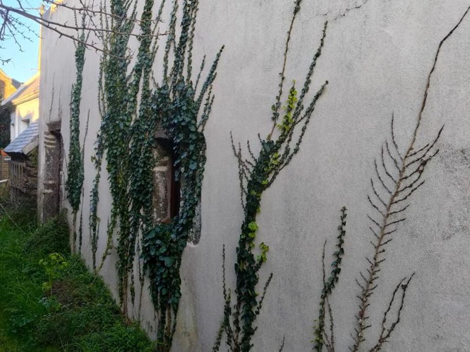 Villa in Groix, Morbihan - foto 3
