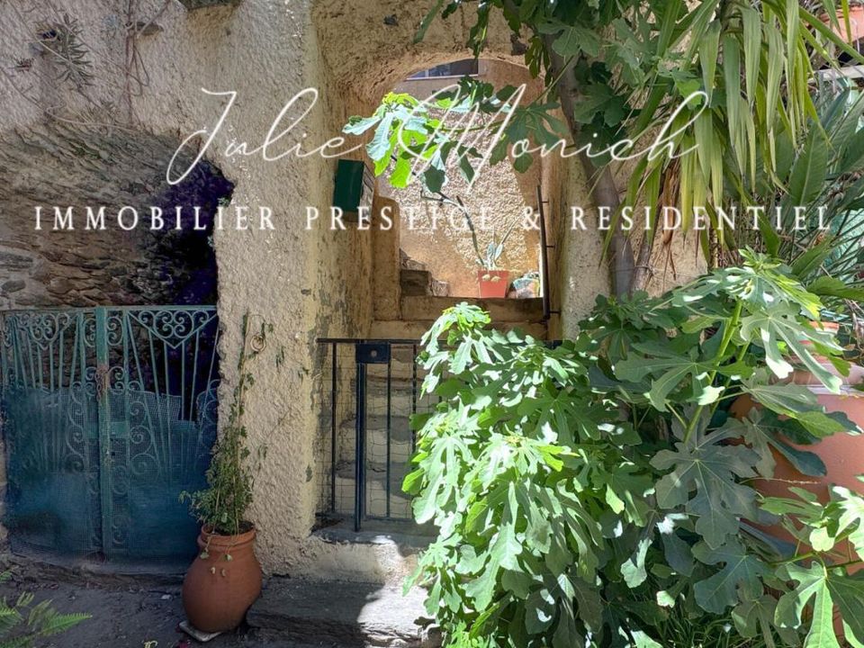 Leilighet i Banyuls-sur-Mer, Pyrenees-Orientales - bilde 1
