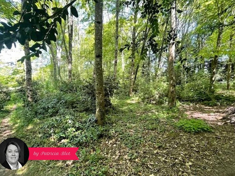 Villa i Pluherlin, Morbihan - foto 3