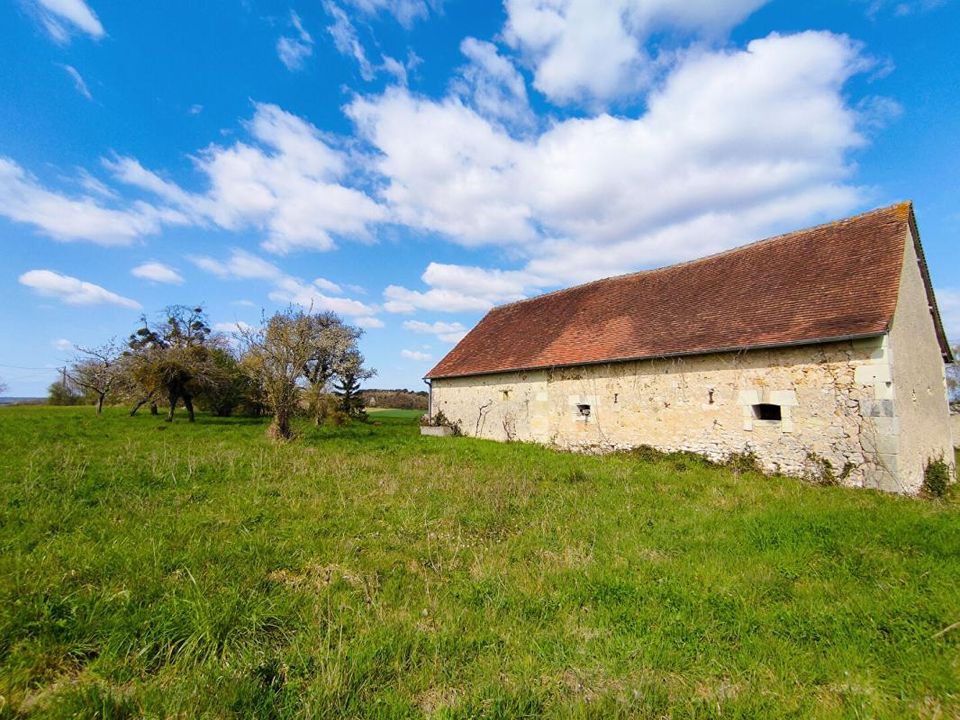 Villa em Chaumussay, Indre-et-Loire - foto 4
