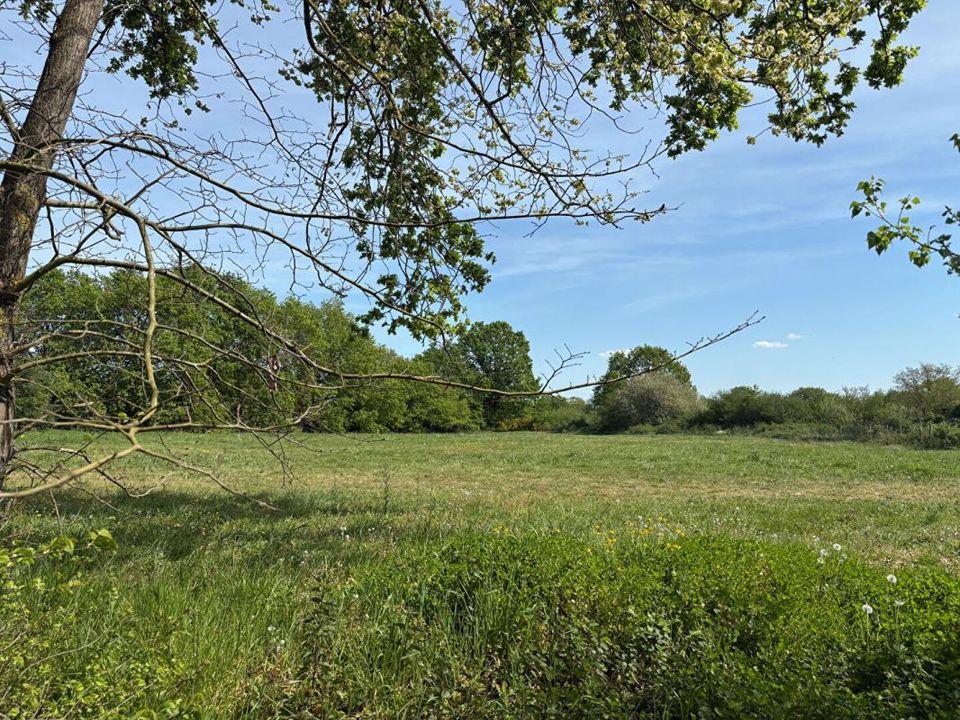 Helårsgrund i Écuillé, Maine-et-Loire - foto 1