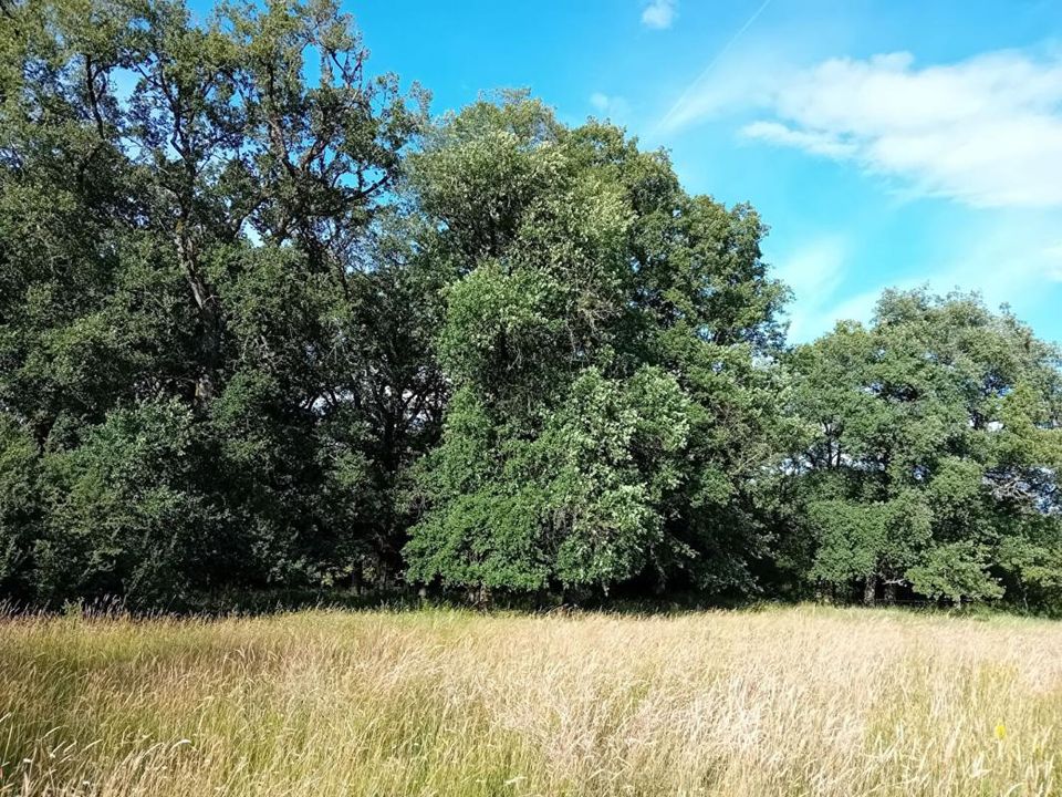 Villa a Beauregard, Lot - foto 4
