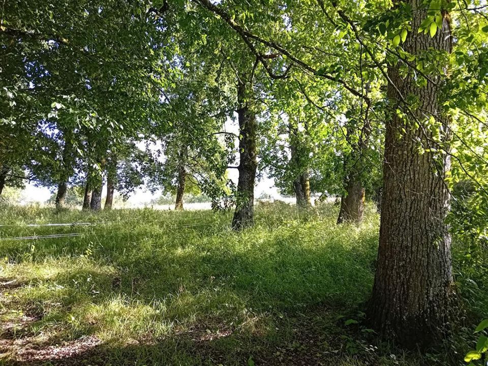 Villa a Beauregard, Lot - foto 5