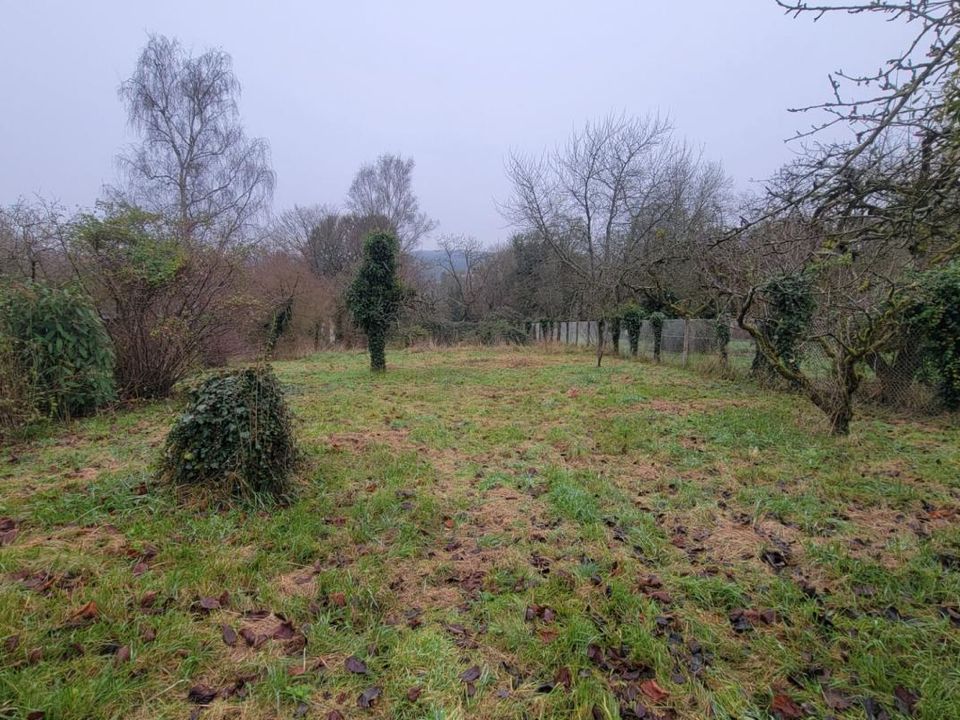 Tomt i Pommeuse, Seine-et-Marne - bilde 2