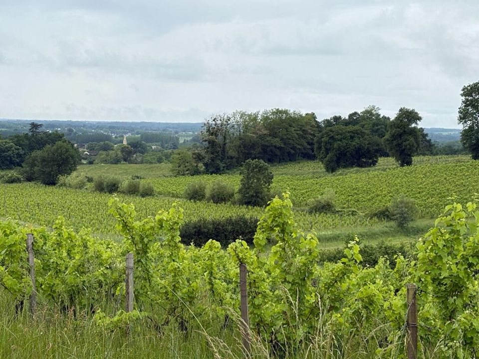 Willa: Sainte-Croix-du-Mont, Gironde – zdjęcie 3
