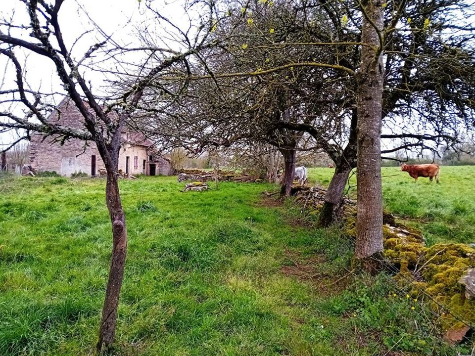 Villa a Beauregard, Lot - foto 1