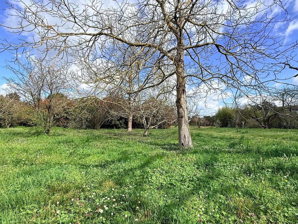 Terreno en Villaudric, Haute-Garonne - foto 2