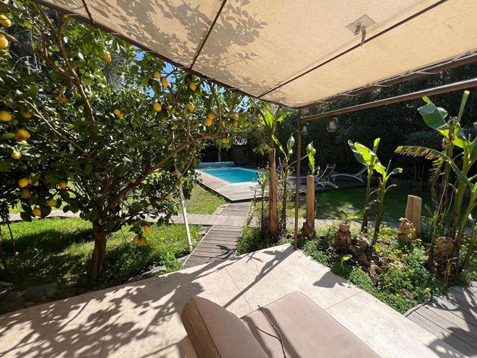 Villa i Lucciana, Haute-Corse - foto 5